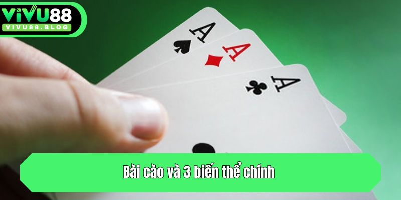 Bí Kíp Chơi Bài Cào Dễ Thắng, Ăn Tiền Thật Tại Vivu88 2 Bài cào và 3 biến thể chính