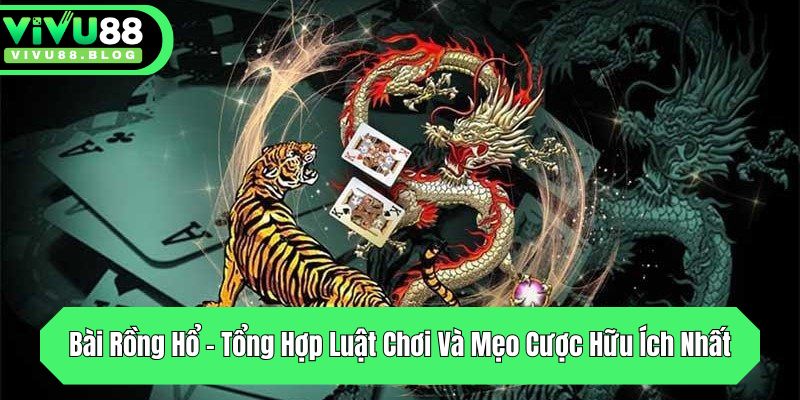 bai rong ho tong hop luat choi va meo cuoc huu ich nhat