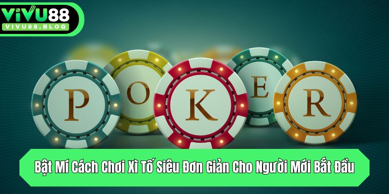 bat mi cach choi xi to sieu don gian cho nguoi moi bat dau