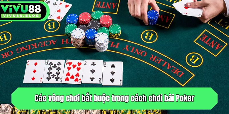 Các vòng chơi bắt buộc