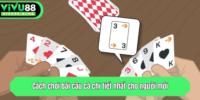 Cách chơi bài câu cá chi tiết nhất cho người mới