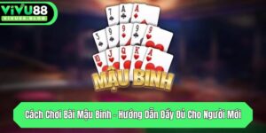 cach choi bai mau binh huong dan day du cho nguoi moi
