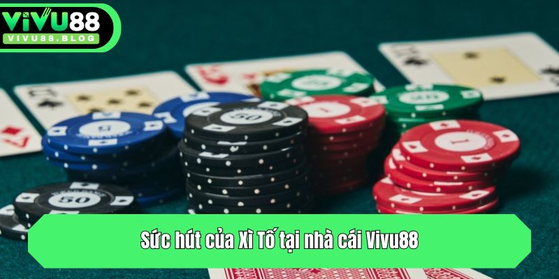 Sức hút của Xì Tố tại nhà cái Vivu88