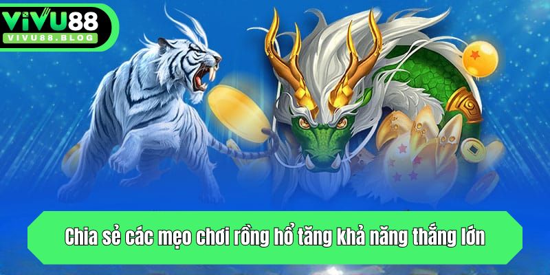 Chia sẻ các mẹo chơi rồng hổ tăng khả năng thắng lớn