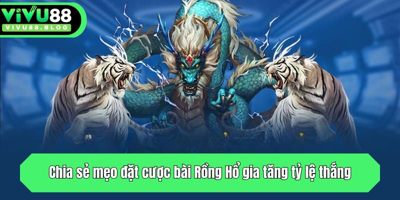 Chia sẻ mẹo đặt cược Rồng Hổ gia tăng tỷ lệ thắng