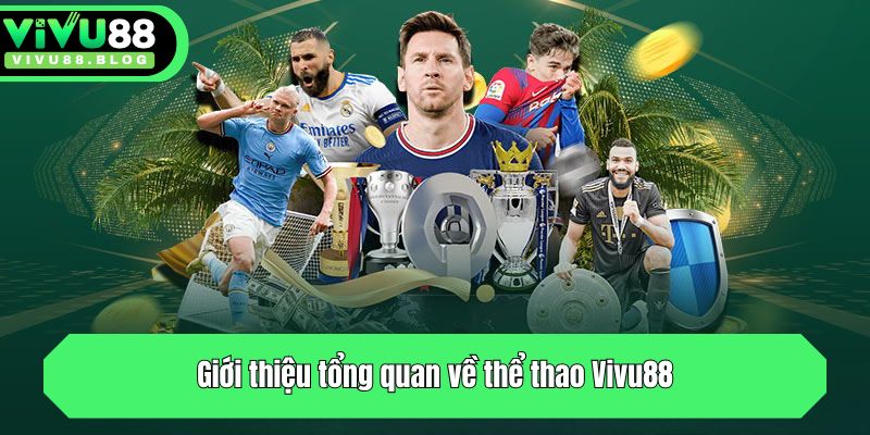 Giới thiệu tổng quan về thể thao Vivu88
