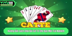 huong dan cach choi bai cat te cho ban moi trai nghiem