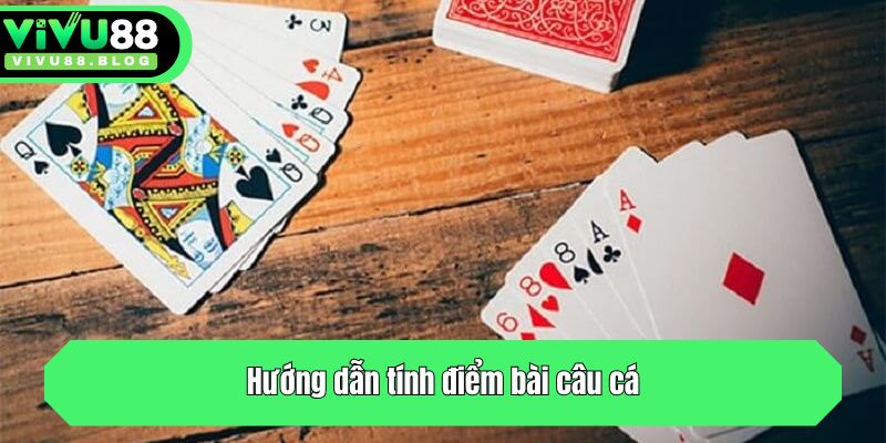 Hướng dẫn tính điểm
