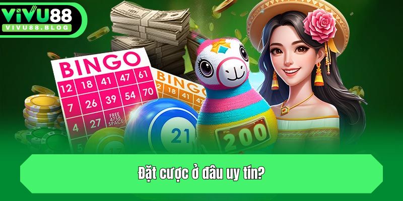 Đặt cược ở đâu uy tín?