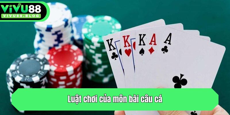 Luật chơi của môn bài câu cá