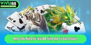 meo choi rong ho vivu88 tong hop tu dan chuyen